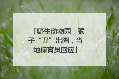 野生动物园一猴子“丑”出圈，当地保育员回应